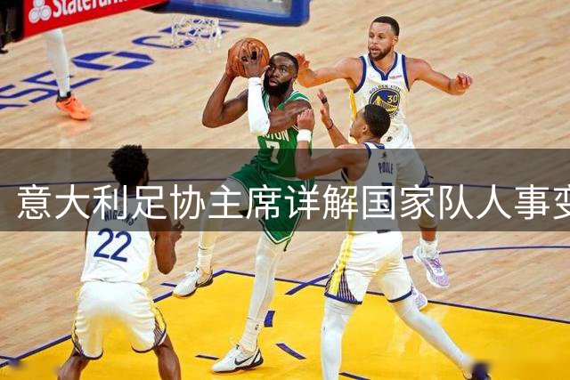 意大利足协主席详解国家队人事变动：曼奇尼掌帅印 拉涅利任技术总监