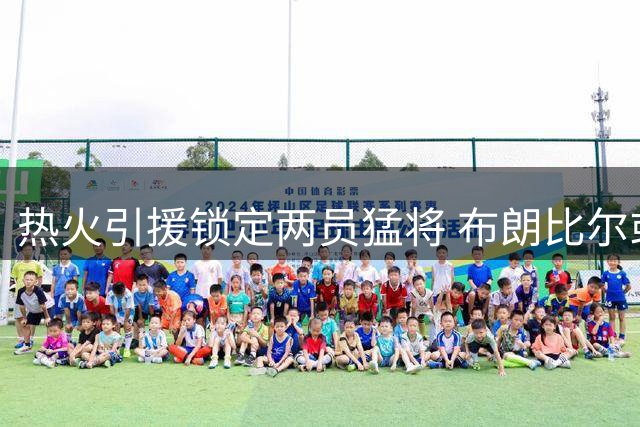 热火引援锁定两员猛将 布朗比尔或成南海岸新战力